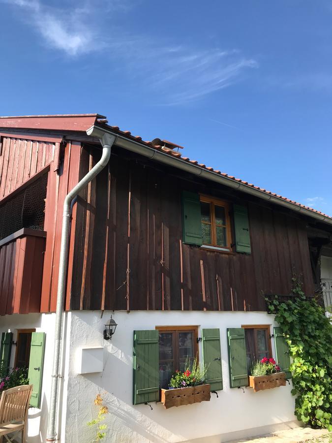 Chalet Alpenrose Schwangau Exterior foto
